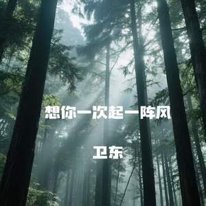 想你一次起一阵风