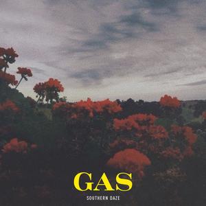 Gas