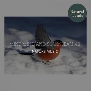 Mint Mind and Soul Healing - Nature Music