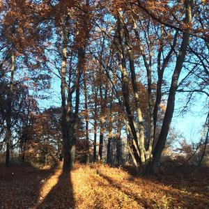 freaky halloween (Explicit)