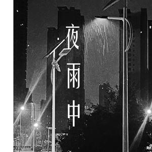 夜雨中