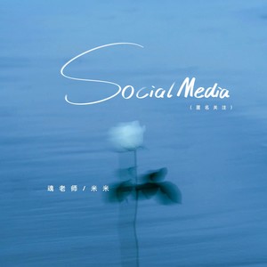Social Media（匿名关注）