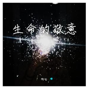 生命的敬意1_1