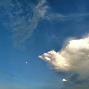 Recognize(feat. Vhadel & Erie) (Explicit)