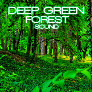 Deep Green Forest Sound (feat. Soothing Nature Sounds, Sounds Nature, Swedish Forest Nature Sound, Discovery Nature Sound, Discovery Soundscapes & Nature Soundscapes)