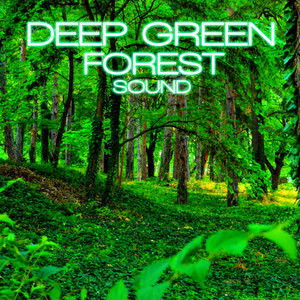 Green Forest Light Rain (feat. Soothing Nature Sounds, Sounds Nature, Swedish Forest Nature Sound, Discovery Nature Sound, Discovery Soundscapes & Nature Soundscapes)