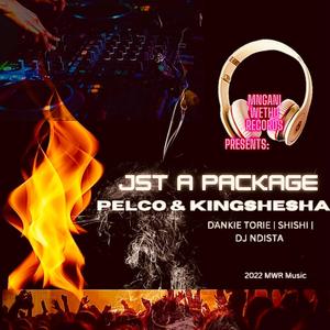Here To Stay (feat. Dankie Tournie & Shishi)
