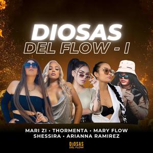 Diosas del Flow I (feat. Mary Flow, Mari Zi, THORMENTA MUSIC, SHESSIRA & Arianna Ramirez)