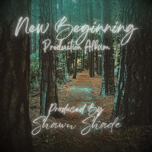 New Beginning Production Album