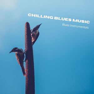 Chilling Blues Music