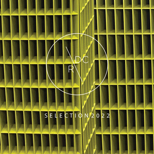 See the Morning Light