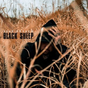 Black Sheep