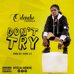 Don't Try (Explicit)