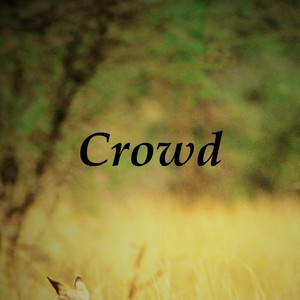 Crowd (Explicit)