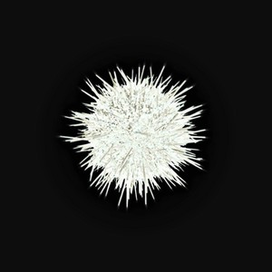 Интеллектуальная деятельность субъектов (Explicit)