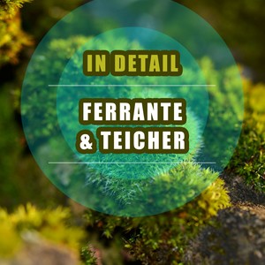 Dream Of Love (爱之梦)