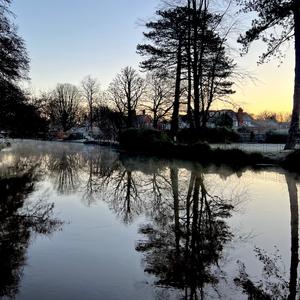 The Stream (feat. Moby Pomerance) (Remix)