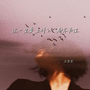 王东东 - 这一生爱上什么人都不为过