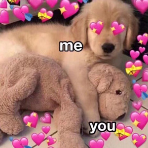 遇到-阿颖不说话