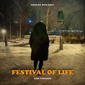 FESTIVAL OF LIFE (EDM Version)