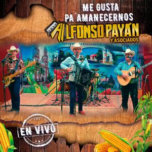 Me gustas tal como eres (Estudio)