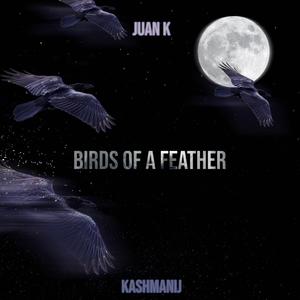 WHOLE LOTTA (Explicit)