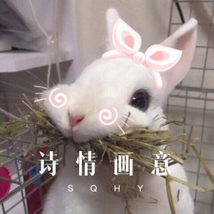 快乐的小星星 (Remix)