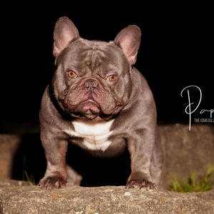 CINCINNATI (Explicit)