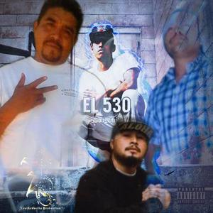 EL 530 (Explicit)