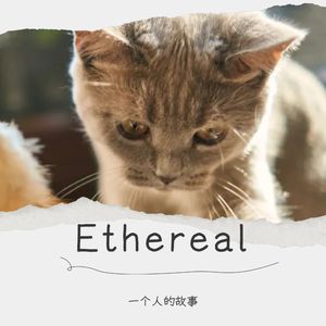 confectionary (Demo)