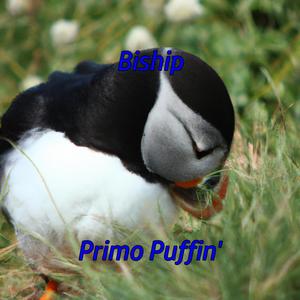 Primo Puffin' (Explicit)