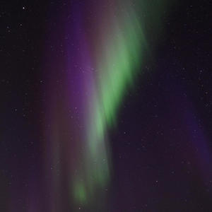 Der Untersteher (Love)