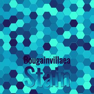 Bougainvillaea Stain