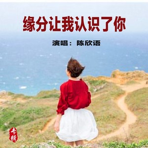 缘分让我认识了你