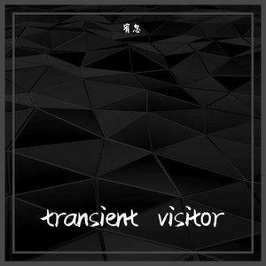 Transient visitor (Origin Mix)