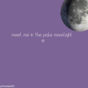 meet me in the pale moonlight