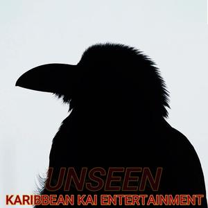 UNSEEN (Instrumental)