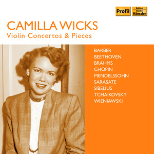 Violin Concerto No. 2 in D Minor, Op. 22 - Violin Concerto No. 2 in D Minor, Op. 22: I. Allegro moderato