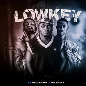 Low Key (feat. High Spirit X D@y break)