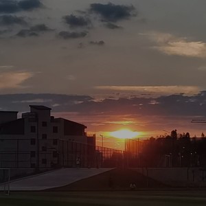 寂寞沙洲冷