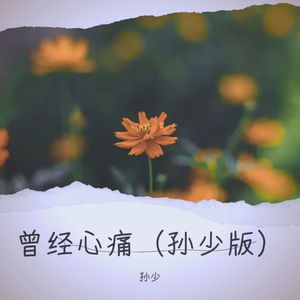曾经心痛