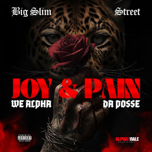JOY & PAIN (Explicit)