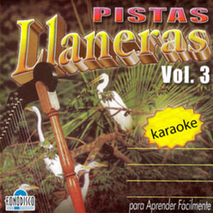 Adios Mi Llano Apureño (伴奏)