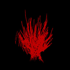 10pedicures (Explicit)