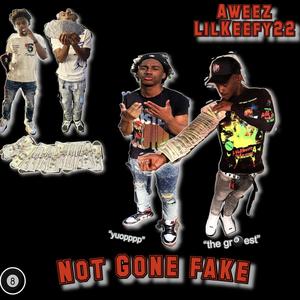 Not Gone Fake (Explicit)