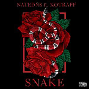 Snakes(feat. Xotrapp) (Explicit)