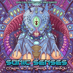 Sonic Senses - Compiled by Dhira & Z3Nkai