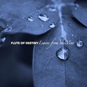 The Last Airbender”) (Medieval Flute)