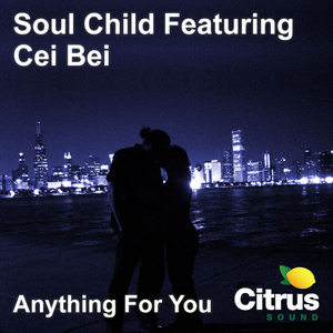 Anything For You (Jonny Montana Lounge Re-Work)