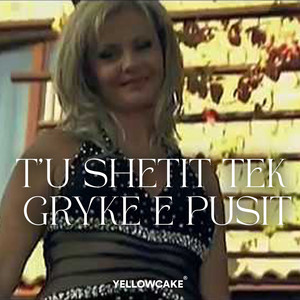 T'u shetit tek gryke e pusit